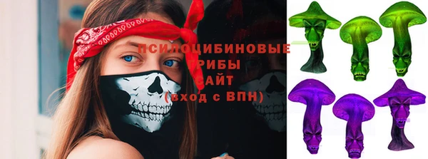 apvp Лагань