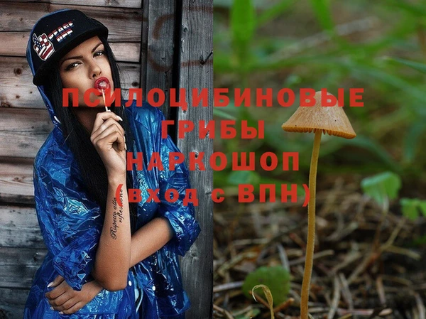 СК Ладушкин