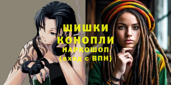 Альфа ПВП Лабытнанги
