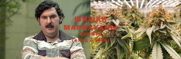apvp Лагань